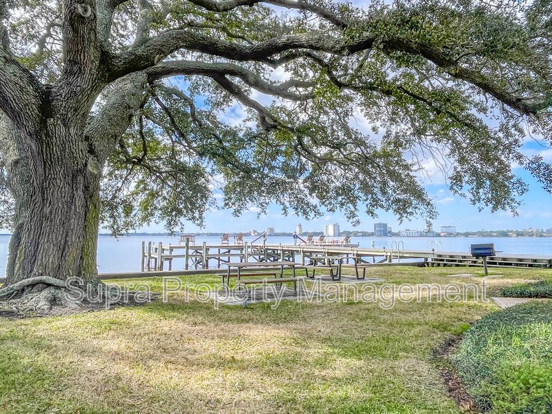 Charming Condo in Historic San Marco with River Views property image